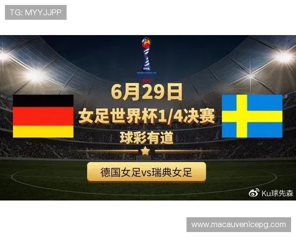 世界杯日本对阵瑞典比赛中犯规数详细统计与分析报告